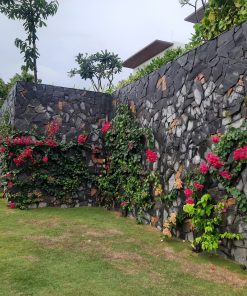 Alternative view of Đá chẻ bao xanh - Đá rối ốp tường