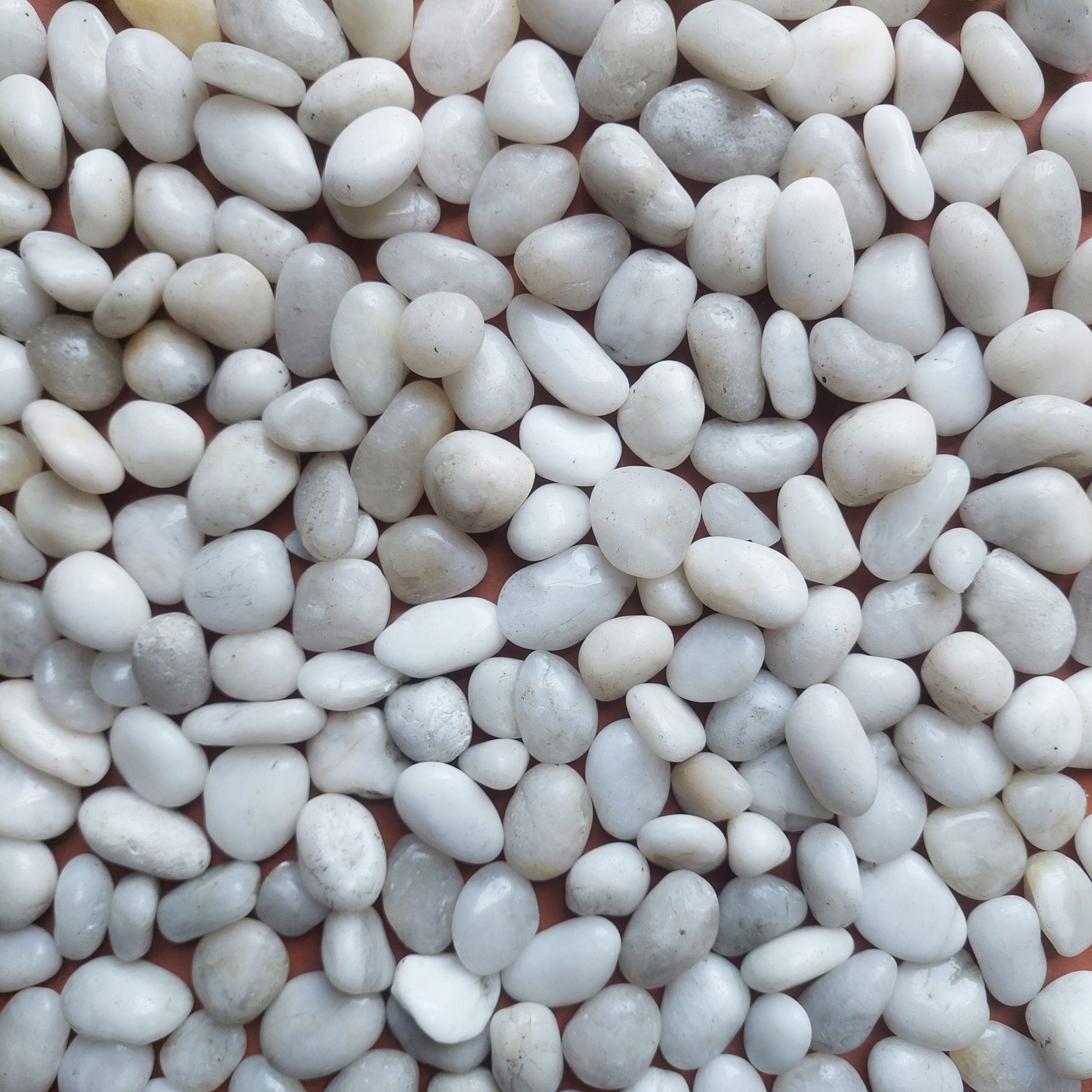 Sỏi trắng bóng nhập khẩu