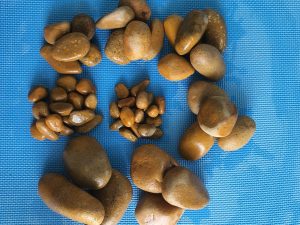 Sỏi vàng tự nhiên- bao 12kg