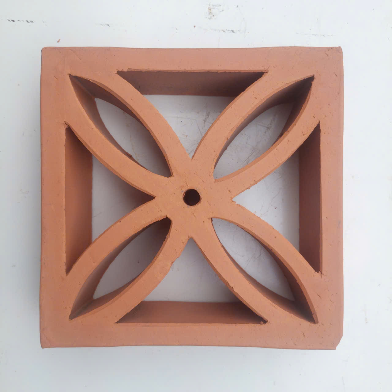 Bông gió lá nhỏ Mỹ Xuân - Ảnh 3